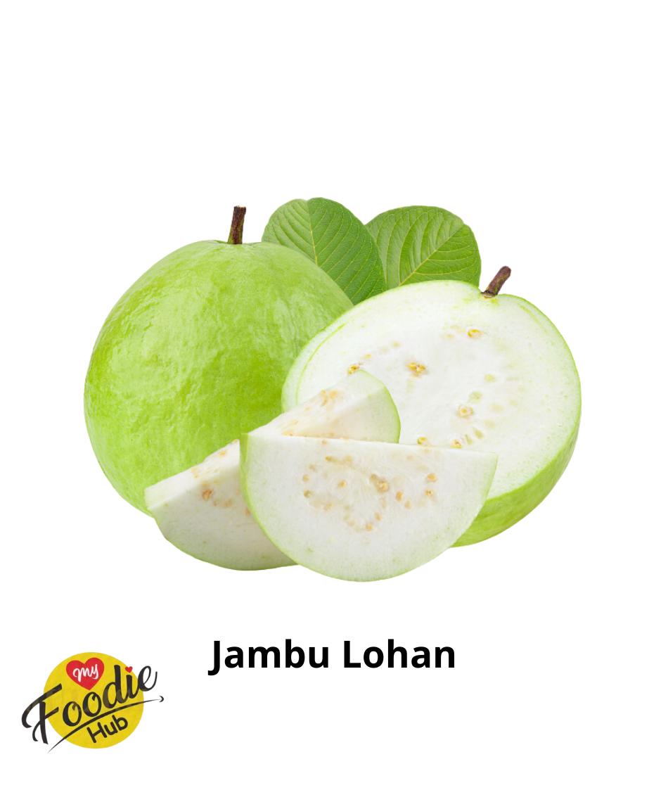 JAMBU LOHAN